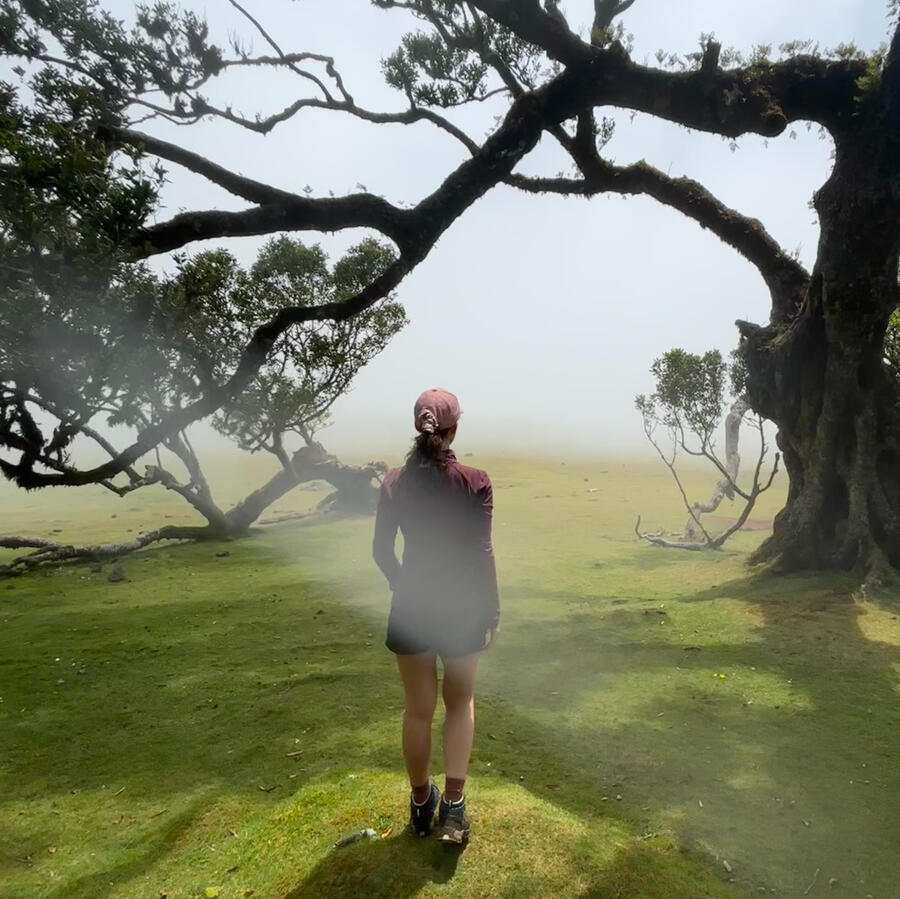 Return to Self where movement meets insight